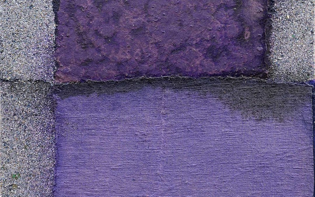 Pittura per un viola, 2010